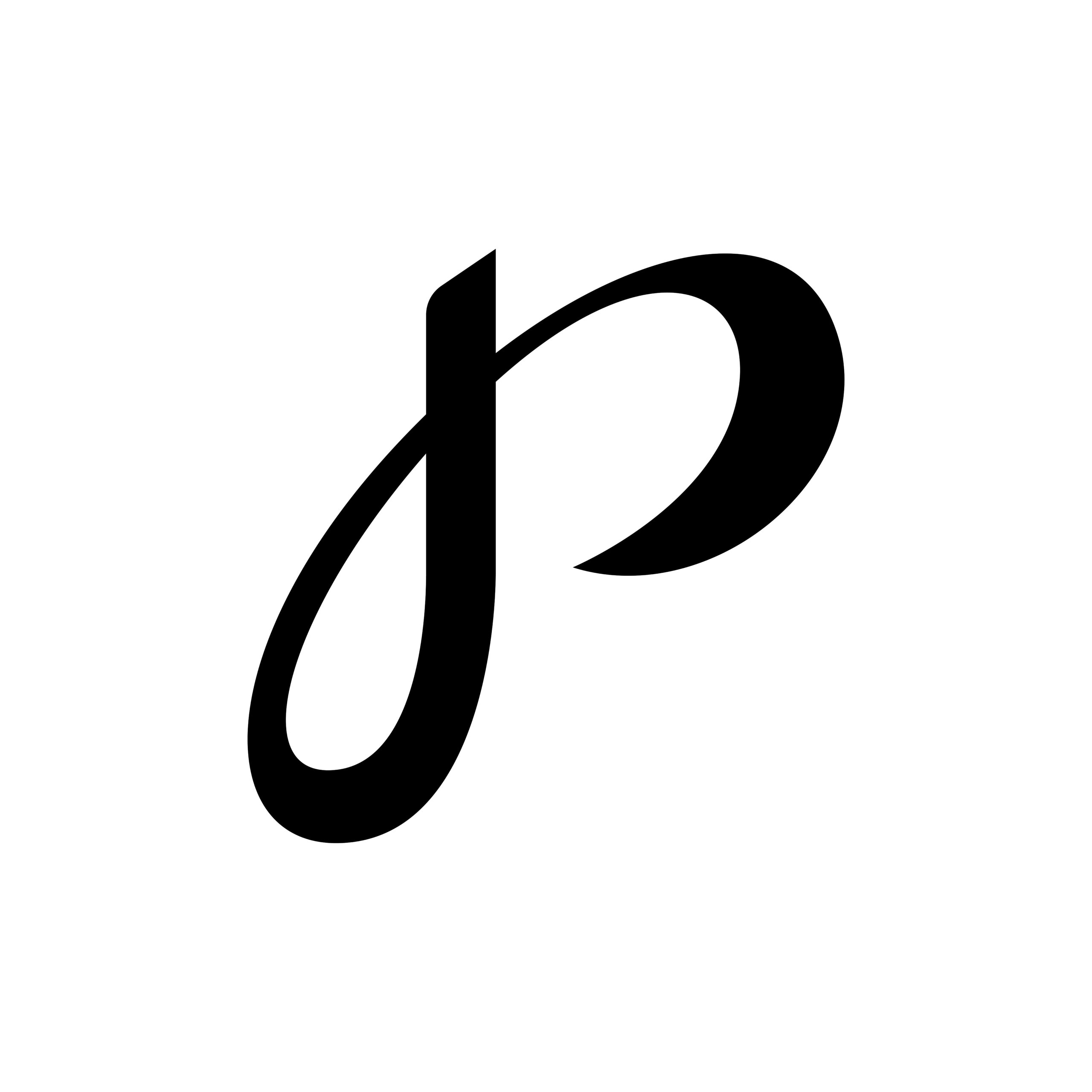 Desain logo fotografi Palu dengan konsep sederhana dan profesional